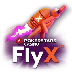 FlyX